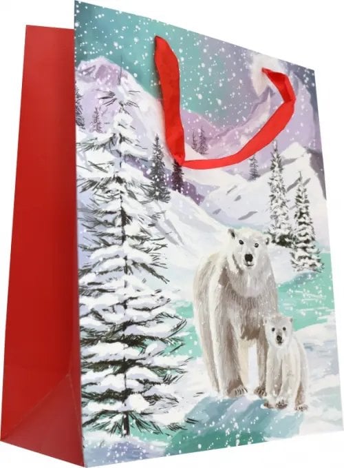 Пакет подарочный Пакет подарочный