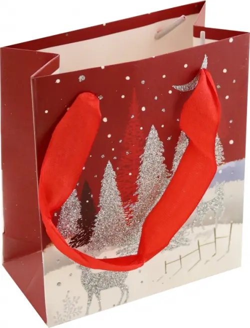 Пакет подарочный Пакет подарочный