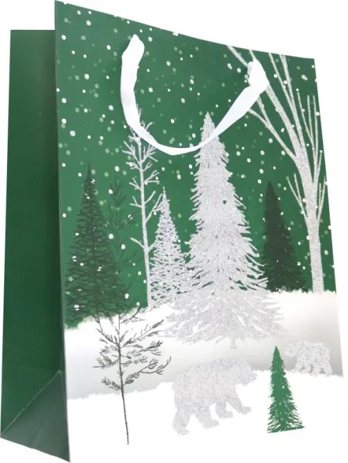 Пакет подарочный Пакет подарочный