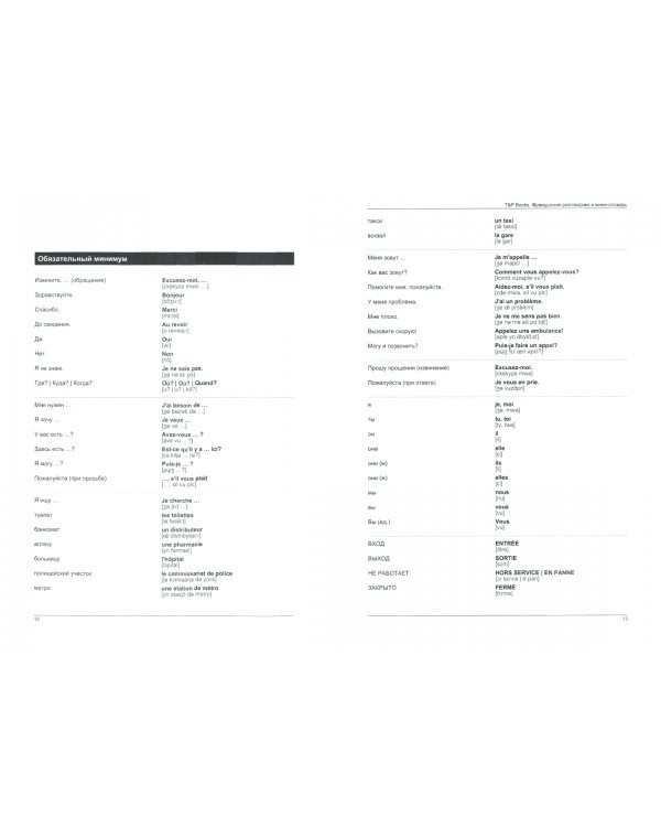 Французский язык. Разговорник. Самые нужные фразы. Мини-словарь. 250 слов