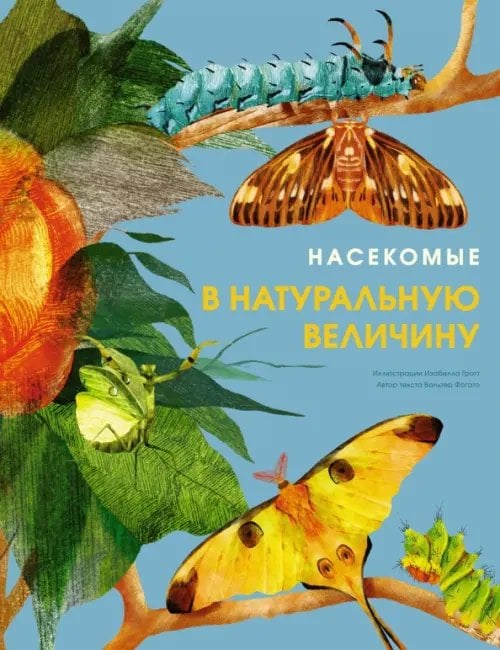 Обложка книги «Насекомые в натуральную величину» — Фогато Вальтер, ISBN 9785389233522