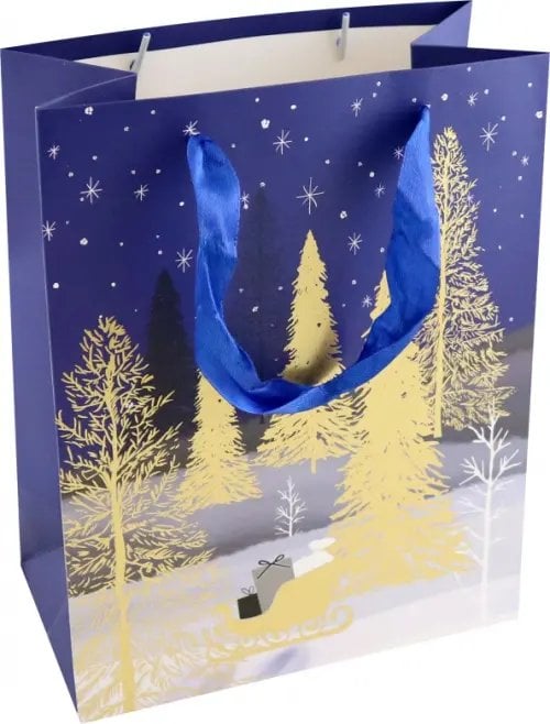 Пакет подарочный Пакет подарочный