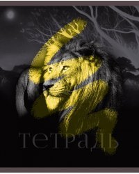Тетрадь В мире диких зверей, 48 листов