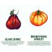 Tomaten