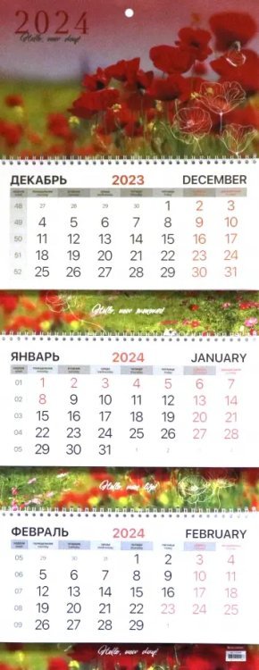 Календарь квартальный на 2024 год Маки