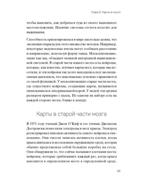 1000 мозгов. Новая теория интеллекта