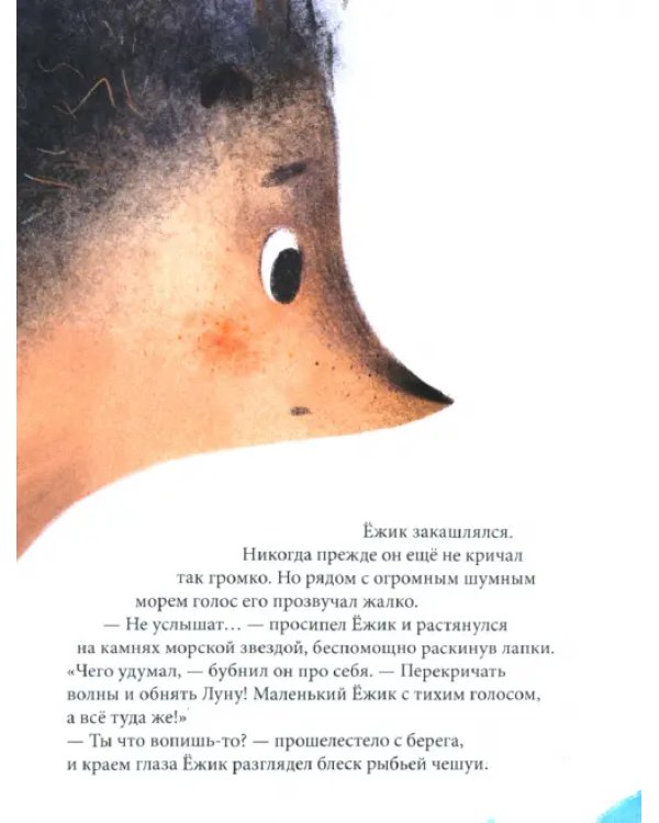 Ёжик, который хотел обнять Луну