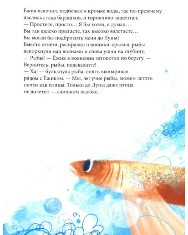 Ёжик, который хотел обнять Луну