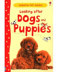 Looking after Dogs and Puppies