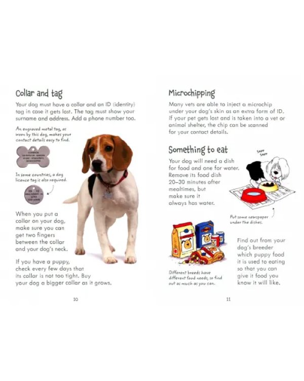 Looking after Dogs and Puppies