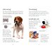 Looking after Dogs and Puppies