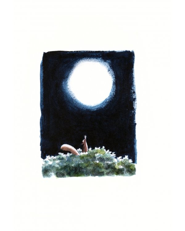 Den Mond vom Himmel pflücken. Geschichten von Panda und Eichhörnchen