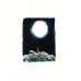Den Mond vom Himmel pflücken. Geschichten von Panda und Eichhörnchen