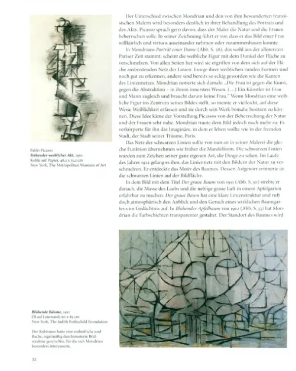 Дополнительное изображение книги «Mondrian»
