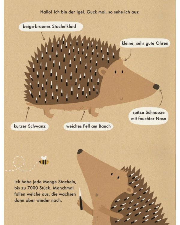 Ich bin der Igel