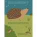 Ich bin der Igel