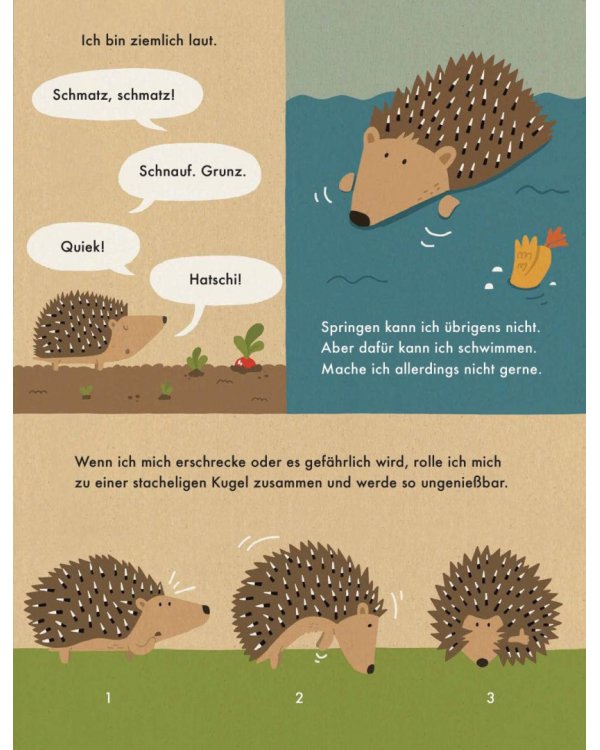 Ich bin der Igel