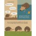 Ich bin der Igel