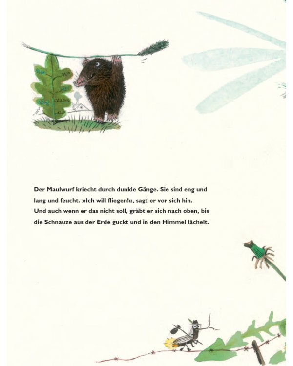 Der kleine Erdvogel