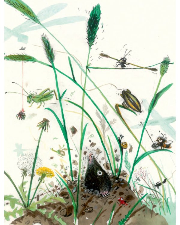 Der kleine Erdvogel