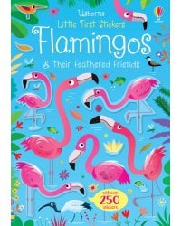 Flamingos