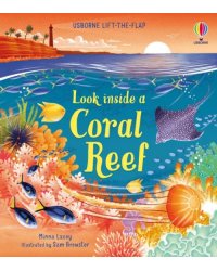Look inside a Coral Reef