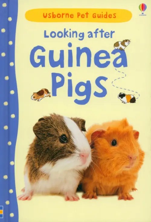 Pet Guides Looking after Guinea Pigs