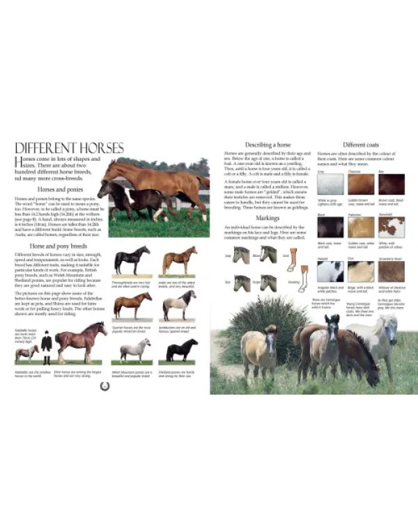 Дополнительное изображение книги «Complete Book of Riding &amp; Ponycare»