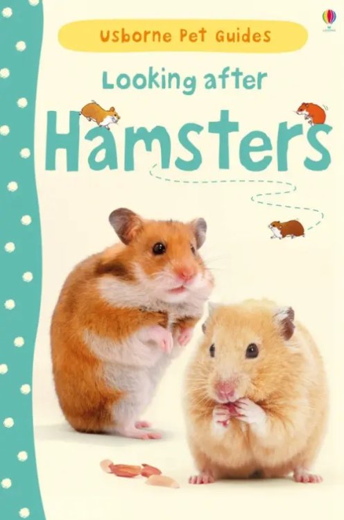 Pet Guides Looking after Hamsters