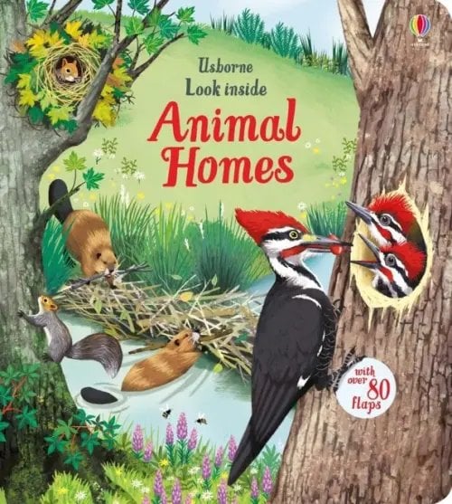 Usborne Look Inside Animal Homes