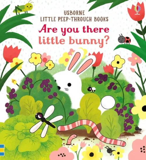 Usborne Little Peep-Through Books Are you there little Bunny?