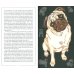 Kat Menschiks und des Diplom-Biologen Dr Rerum Medicinalium Mark Beneckes Illustrirtes Thierlebe