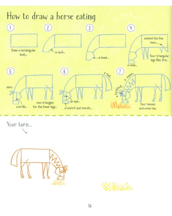 Horses and Ponies