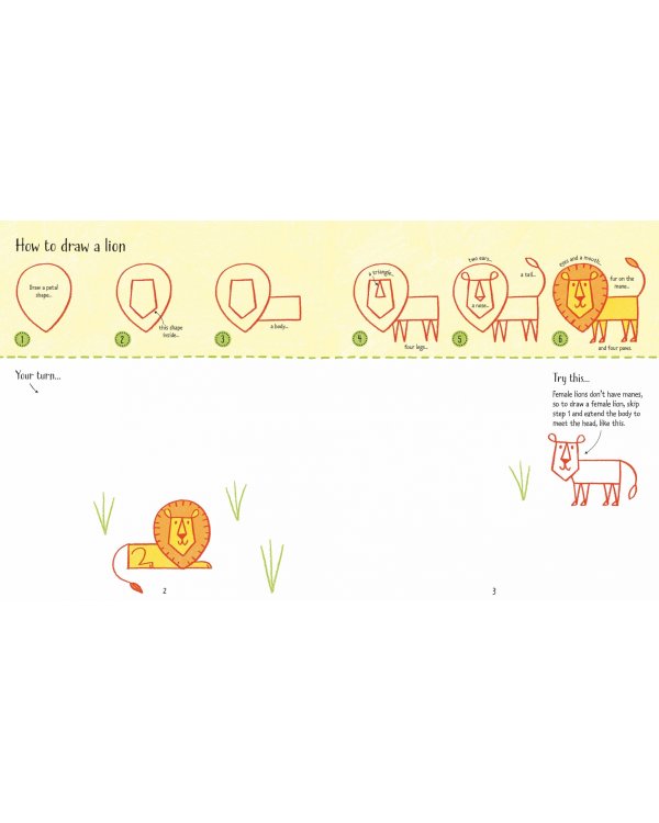 Step-by-step Drawing. Zoo Animals