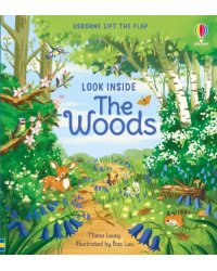 Look Inside the Woods