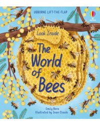 Look Inside the World of Bees