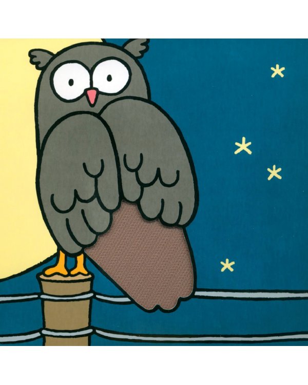 That's not my owl…
