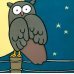 That's not my owl…