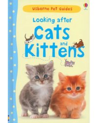 Looking after Cats and Kittens