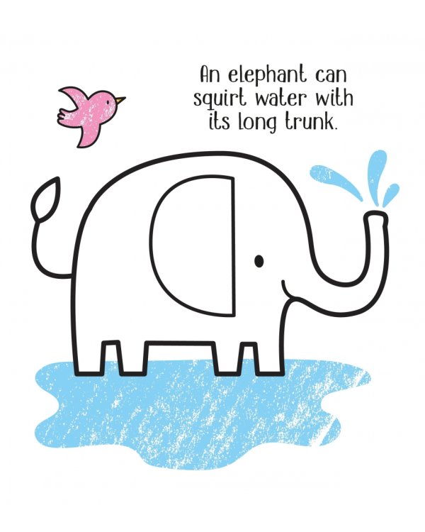 First Colouring. Zoo Animals