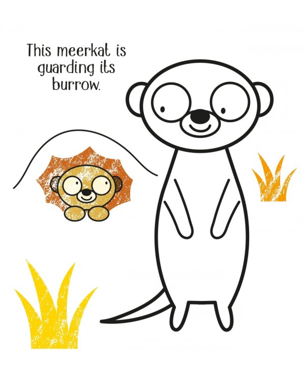 First Colouring. Zoo Animals