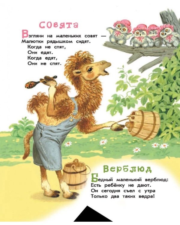 Урок вежливости