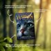 Дополнительное изображение книги «STARLIGHT»