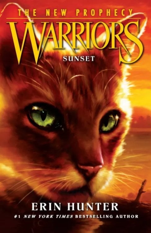 Warriors: The New Prophecy SUNSET