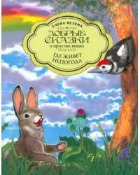 Где живет непогода