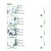 SAG HALLO! Arbeitsbuch + Audios online
