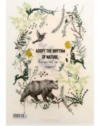 Набор папок-уголков Natural Life, A4, 4 штуки, в ассортименте