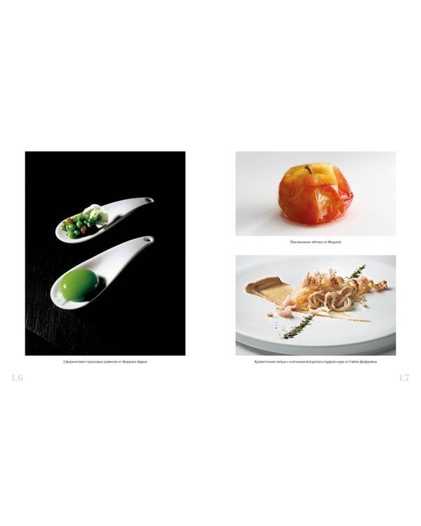 Наука и кулинария. Физика еды. От повседневной до высокой кухни