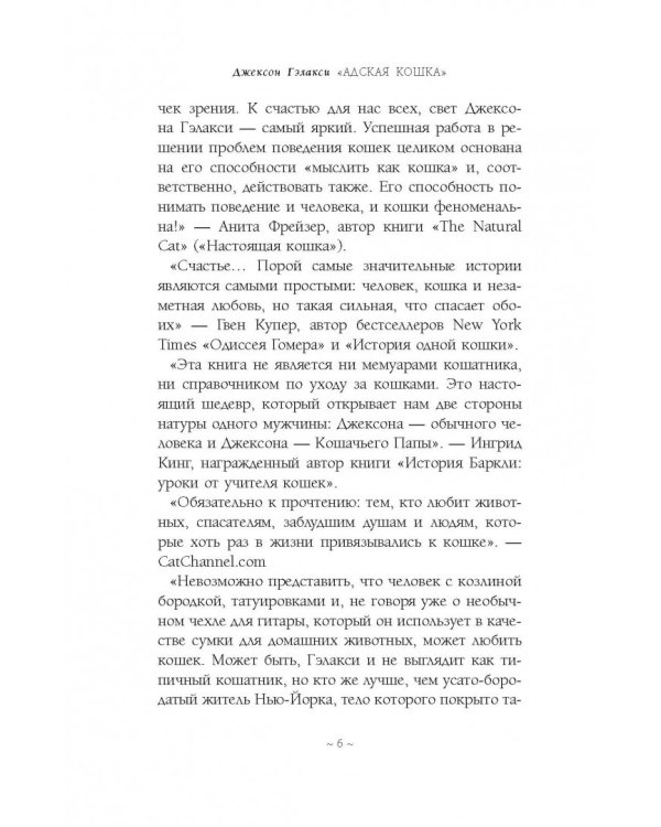 Дополнительное изображение книги «Адская кошка»