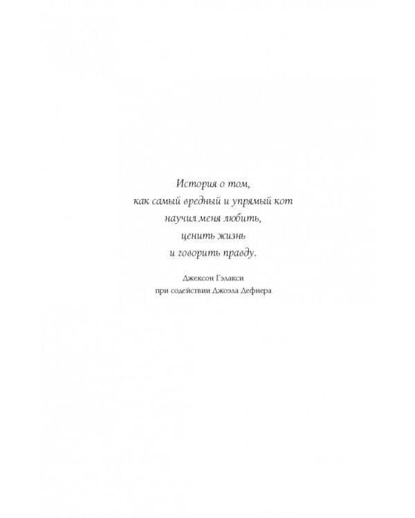 Дополнительное изображение книги «Адская кошка»